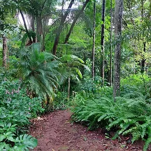 Rainforest Retreat-fireplace-bbq-3 Acres- Holiday home
